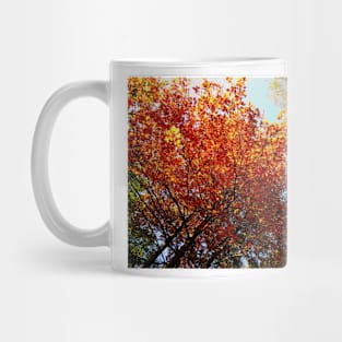 Autumn Leaves Mug